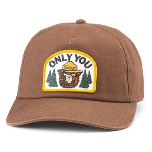 AMERICAN NEEDLE Smokey The Bear Canvas Roscoe Snapback Baseball Hat, Brown (24009A-SMOKEY-BRN)