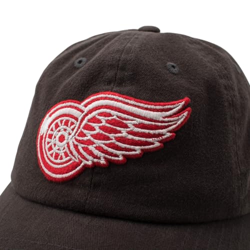 AMERICAN NEEDLE NHL Detroit Red Wings Hockey Team New Raglan Adjustable Baseball Hat, Black (36672B-DRW-BLK)