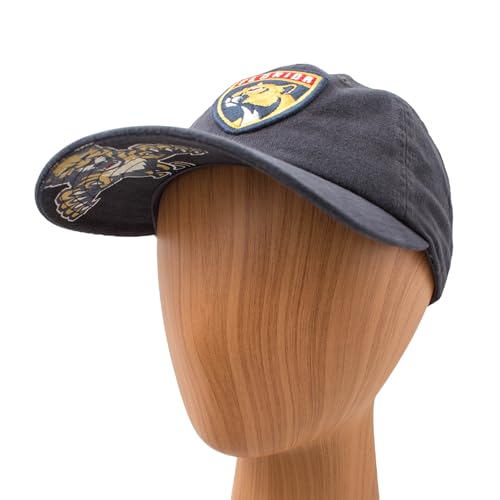 AMERICAN NEEDLE NHL Florida Panthers Hockey Team New Raglan Adjustable Baseball Hat, Navy (36672B-FLP-NVY)