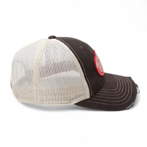 AMERICAN NEEDLE Officially Licensed NHL Hockey Orville Team Hat, Distressed, Dad Cap, Adjustable, Authentic New (Detroit Red Wings (Black/Stone))