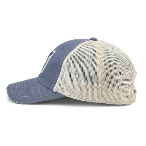 AMERICAN NEEDLE Officially Licensed NHL Hockey Orville Team Hat, Distressed, Dad Cap, Adjustable, Authentic New (Hartford Whalers (Steel Blue/Stone))