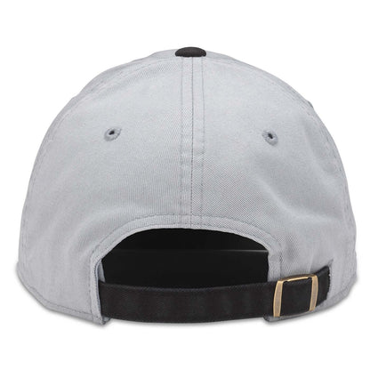 DeLorean Hat: Grey DMC Dad Hat | Back to the Future