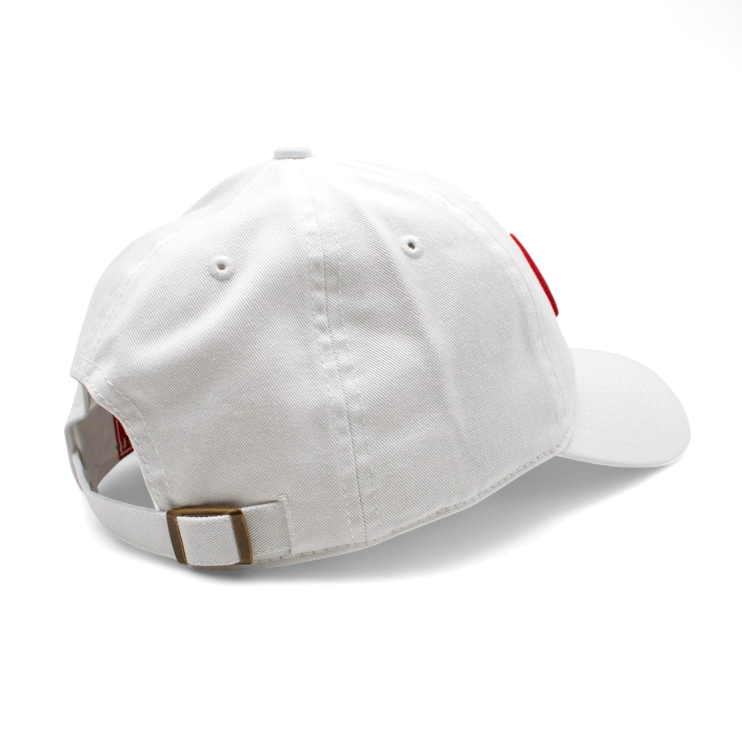 AMERICAN NEEDLE Coca-Cole New Raglan Adjustable Buckle Strap Baseball Dad Hat, White (COKE-1915B-WHT)