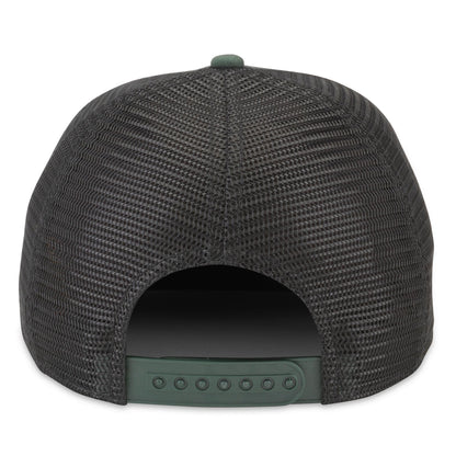 AMERICAN NEEDLE Smokey The Bear Valin Snapback Baseball Hat, Black/Bottle (42960D-SMOKEY-BKBOT)