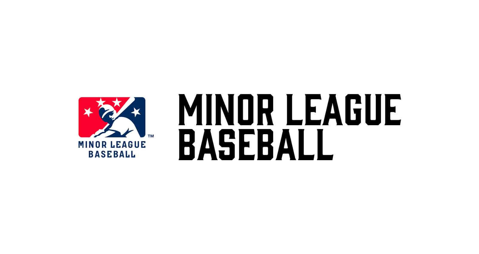 Minor League Baseball Hats | MiLB Headwear | Trending Styles