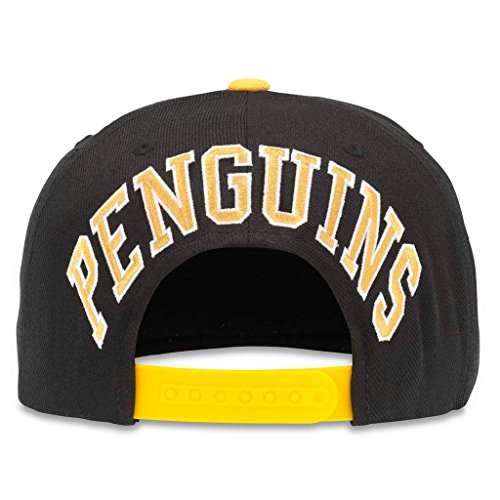 AMERICAN NEEDLE Blockhead 2 NHL Team Flat Brim Hat, Pittsburgh Penguins, Black/Gold (43732A-PPN)