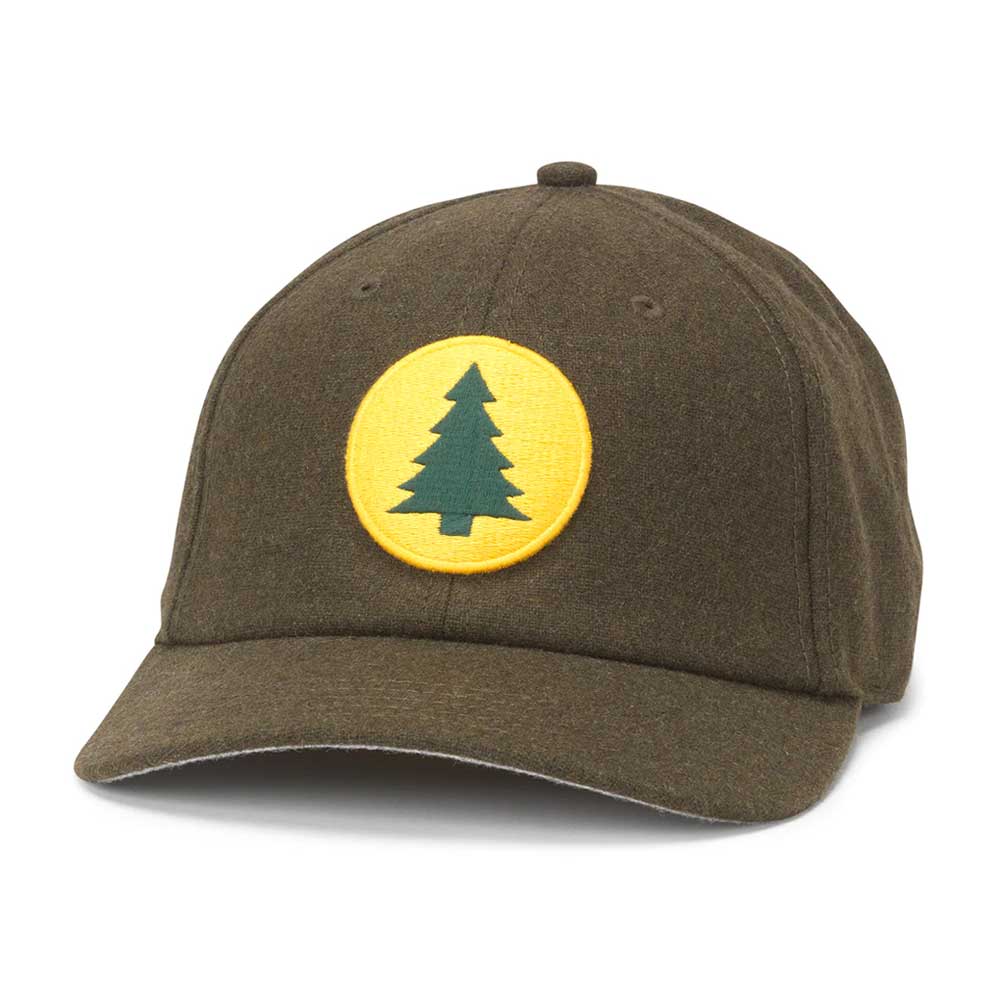 Maine Central Railroad Hat: Strapback Olive Dad Hat | MiLB