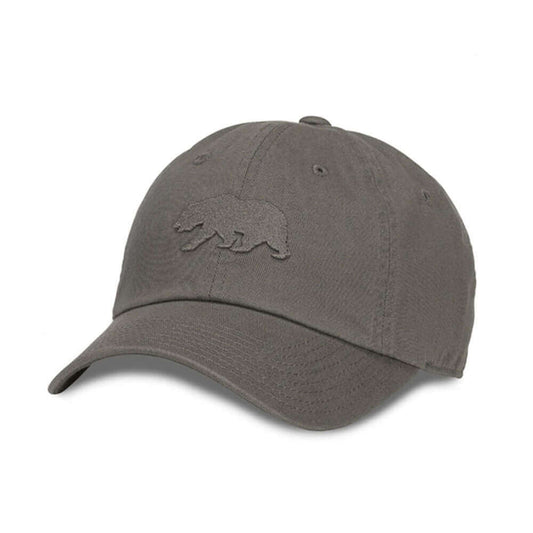  California Bear Hat: Moss Strapback Dad Hat | State Flag